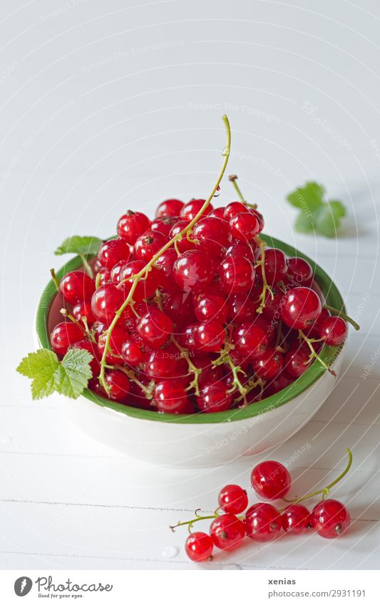 Rote Johannisbeeren in weiß-grüner Schale Frucht Bioprodukte Vegetarische Ernährung Diät Fingerfood Schalen & Schüsseln Gesunde Ernährung genießen frisch