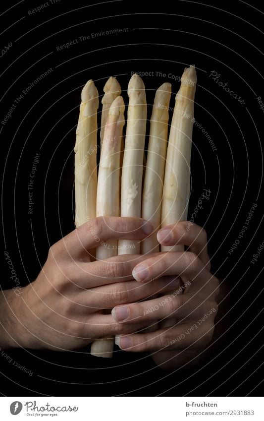weißer Spargel Lebensmittel Gemüse Ernährung Bioprodukte Vegetarische Ernährung Gesunde Ernährung Gastronomie Mann Erwachsene Hand Finger