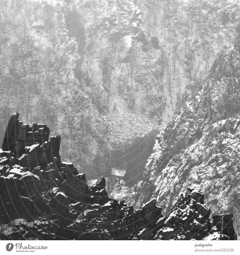 Bodetal Umwelt Natur Landschaft Winter Klima Schnee Felsen Berge u. Gebirge Schlucht Thale dunkel kalt natürlich wild Stimmung Schwarzweißfoto Außenaufnahme