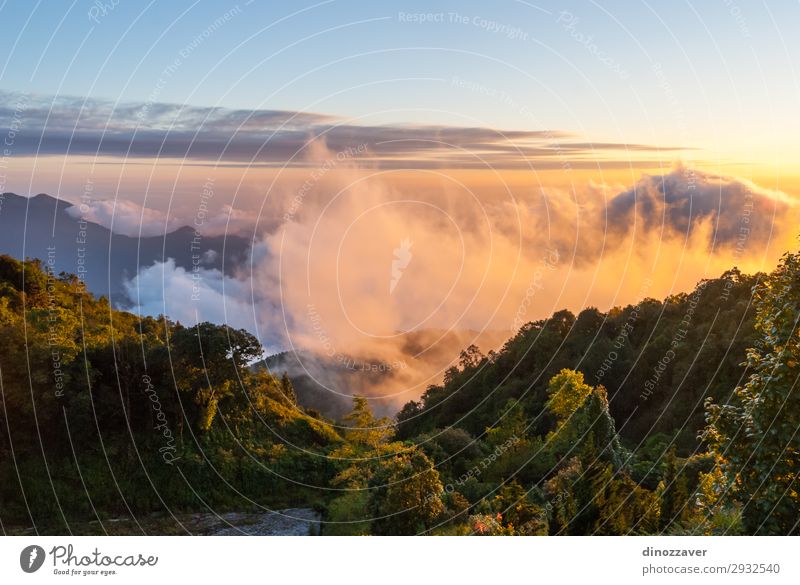 Doi inthanon mountains, Thailand schön Ferien & Urlaub & Reisen Tourismus Freiheit Sommer Berge u. Gebirge wandern Skifahren Umwelt Natur Himmel Wolken Baum