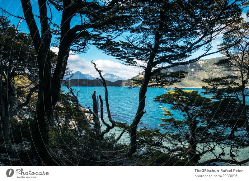Ushuaia NP Umwelt Natur Landschaft blau schwarz Küste Berge u. Gebirge Wald Baum Wolken wandern Meer Meerwasser Südamerika Patagonien Reisefotografie entdecken
