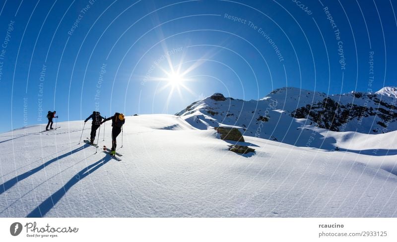 Eine Gruppe von Skialpinisten auf den italienischen Alpen Ferien & Urlaub & Reisen Abenteuer Freiheit Expedition Sonne Winter Schnee Berge u. Gebirge wandern