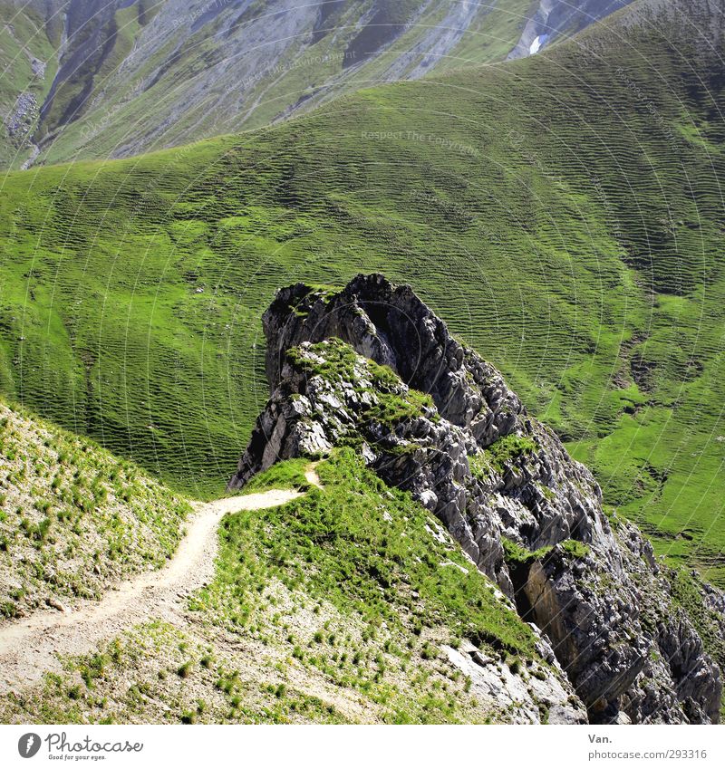 Zwischenziel Ferien & Urlaub & Reisen Berge u. Gebirge wandern Landschaft Pflanze Erde Gras Hügel Felsen Alpen Wege & Pfade grau grün Farbfoto mehrfarbig