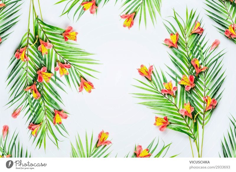 Grüne tropische Palmblätter und exotische Blüten auf weißem Hintergrund, Draufsicht. Rahmen. Flach gelegt. Kopierraum für Ihren Entwurf grün Handfläche Blätter