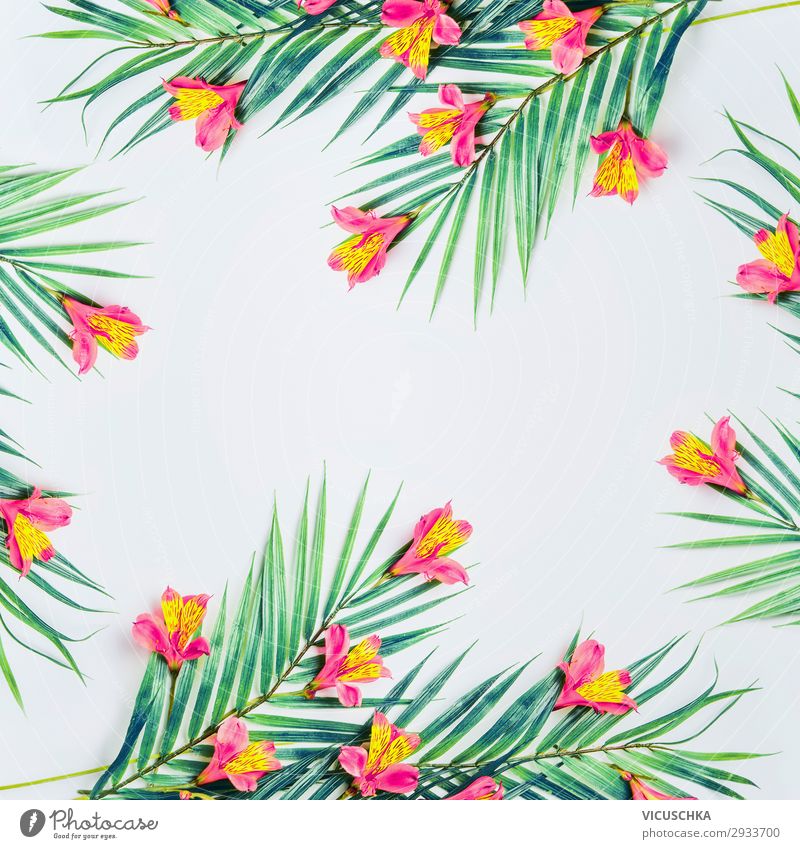 Weißer Hintergrund mit tropischen Palmblättern und Blumen Stil Design Sommer Natur Pflanze Blatt Mode Dekoration & Verzierung Ornament trendy Hintergrundbild