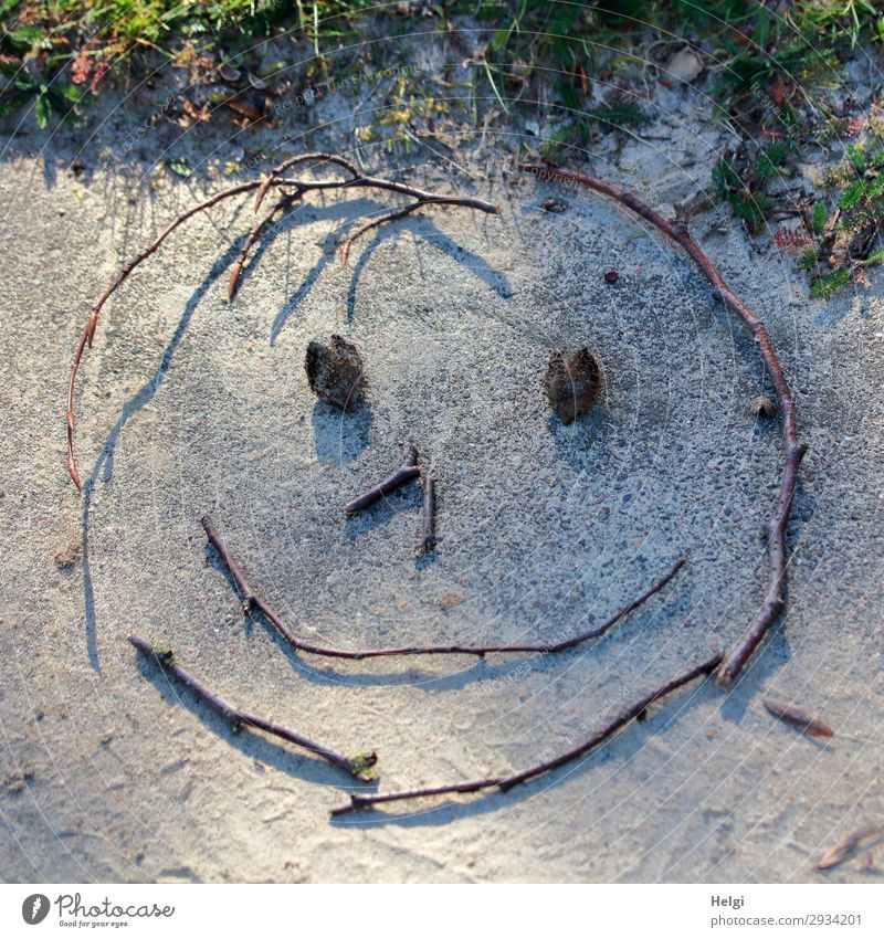 lächelndes Gesicht, gelegt aus Zweigen und Bucheckern auf einer Steinplatte Pflanze Gras Dekoration & Verzierung Smiley Zweige u. Äste Sand Zeichen Linie