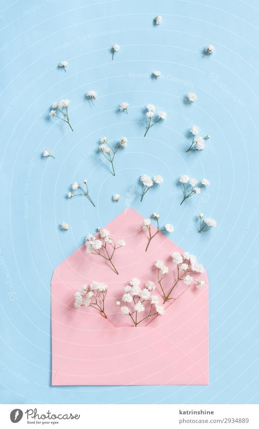 Blumen und Umschlag auf hellblauem Hintergrund Design Dekoration & Verzierung Valentinstag Muttertag Hochzeit Frau Erwachsene oben Kreativität romantisch
