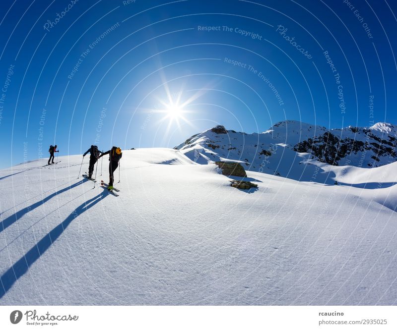 Eine Gruppe von Skifahrern Ferien & Urlaub & Reisen Abenteuer Freiheit Expedition Sonne Winter Schnee Berge u. Gebirge wandern Sport Klettern Bergsteigen Mensch