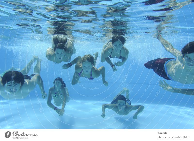 fOrmation Sport Wassersport Schwimmen & Baden tauchen Schwimmbad Mensch maskulin feminin Junge Frau Jugendliche Junger Mann Menschengruppe Bewegung Flüssigkeit