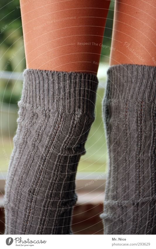 socks feminin Kindheit Jugendliche Haut Beine 8-13 Jahre Mode Strümpfe Strumpfhose Stoff grau Material stricken Knie gestrickt Bekleidung Textilien Nylon Stulpe