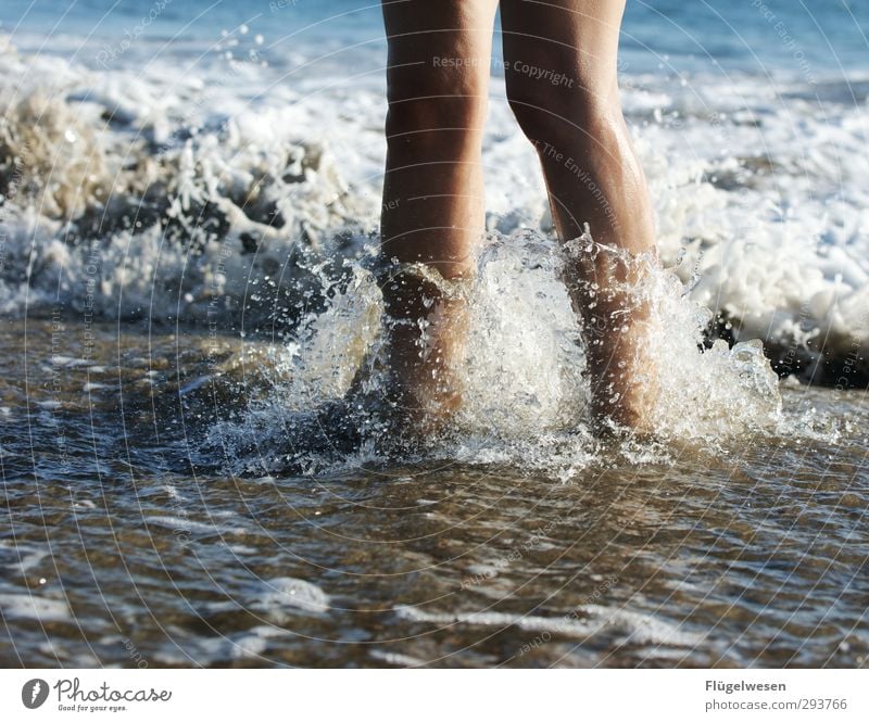 Minitsunami Sommer Sommerurlaub Sonne Sonnenbad Strand Meer Insel Wellen Schwimmbad Fuß 1 Mensch Küste Seeufer Nordsee Ostsee Wasser Schwimmen & Baden nass