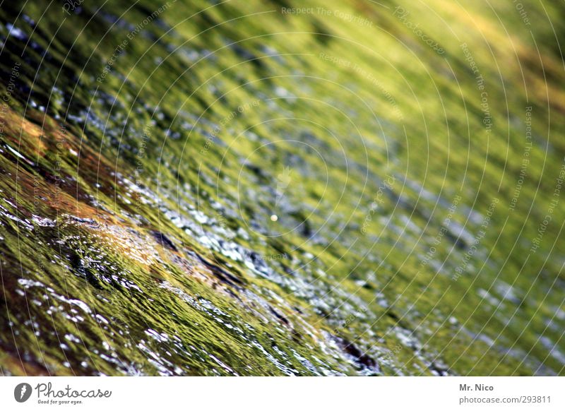moosalb Umwelt Natur Wasser See Bach Fluss ruhig Wasseroberfläche Reflexion & Spiegelung Wildbach Wasserwirbel Rauschen Erfrischung Quelle Sauberkeit Gesundheit