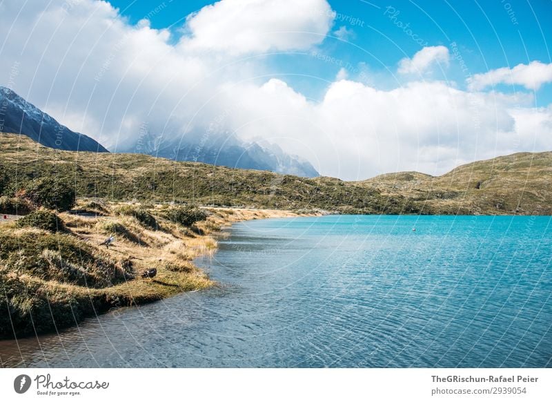 Türkis See im Torres del Paine Nationalpark Umwelt Natur Landschaft blau türkis grün Wasser Küste wandern Bootsfahrt Torres del Paine NP Chile Patagonien Wind