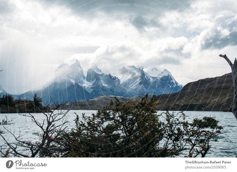 Cerro Paine Grande Umwelt Natur Landschaft blau grau schwarz weiß Wasser See lago péhoe Torres del Paine NP Berge u. Gebirge Aussicht Tourismus Wolken