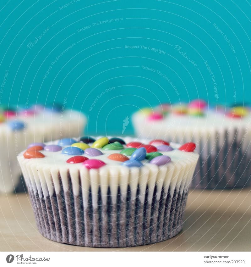 3 Cupcakes mit bunten Smarties auf Tisch vor einer blauen knalligen Wand mit Tiefenunschärfe Kuchen Geburtstag Lebensmittel Süßwaren Schokolade Ernährung