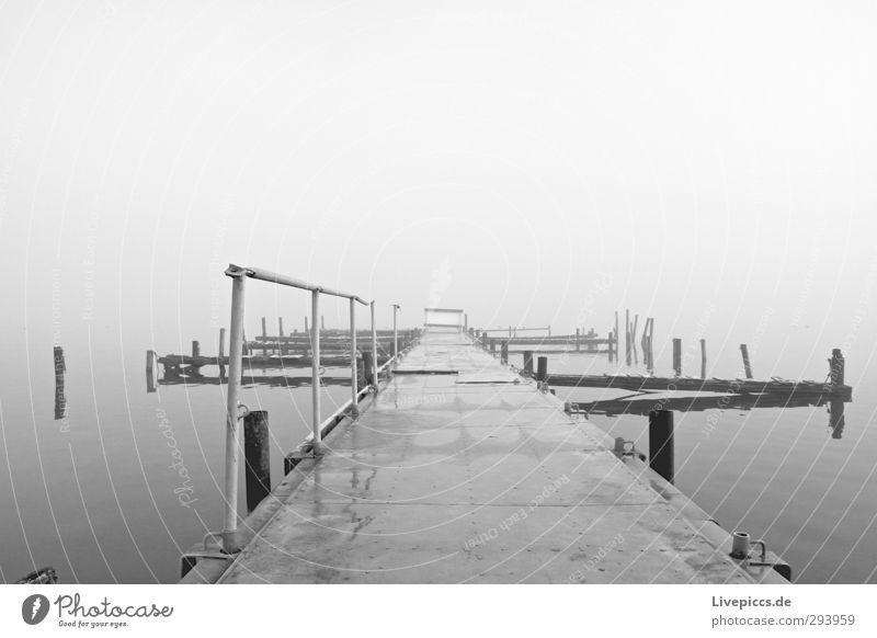 da Steg Natur Landschaft Wasser Himmel Wolken Herbst schlechtes Wetter Nebel Seeufer Brücke liegen grau schwarz weiß Gelassenheit ruhig Einsamkeit stagnierend