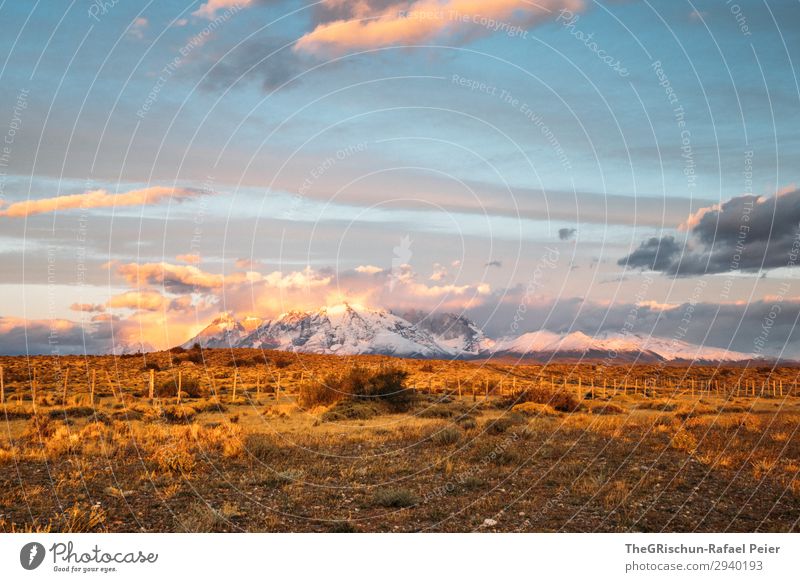 Patagonia Umwelt Natur Landschaft blau braun gelb gold violett rosa Stimmung Patagonien Außenaufnahme Morgendämmerung Sonnenaufgang Wolken Sonnenstrahlen