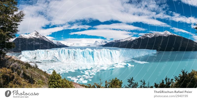 Perito Moreno Gletscher Umwelt Natur blau türkis Eis Patagonien Reisefotografie schmelzen kalbern Wasser kalt Wolken Argentinien el calafate Eisscholle Farbfoto