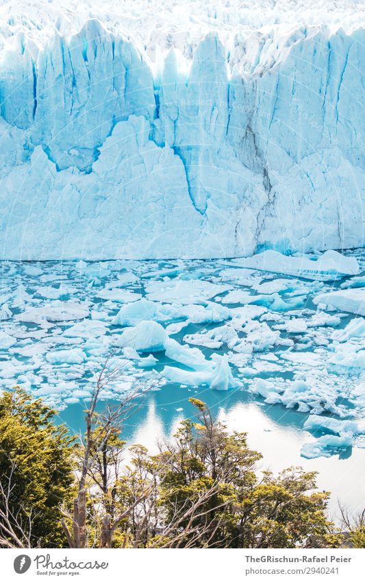 Perito Moreno - Gletscher Natur blau türkis weiß Perito Moreno Gletscher Argentinien Patagonien Reflexion & Spiegelung Wasser See Eis Eisscholle