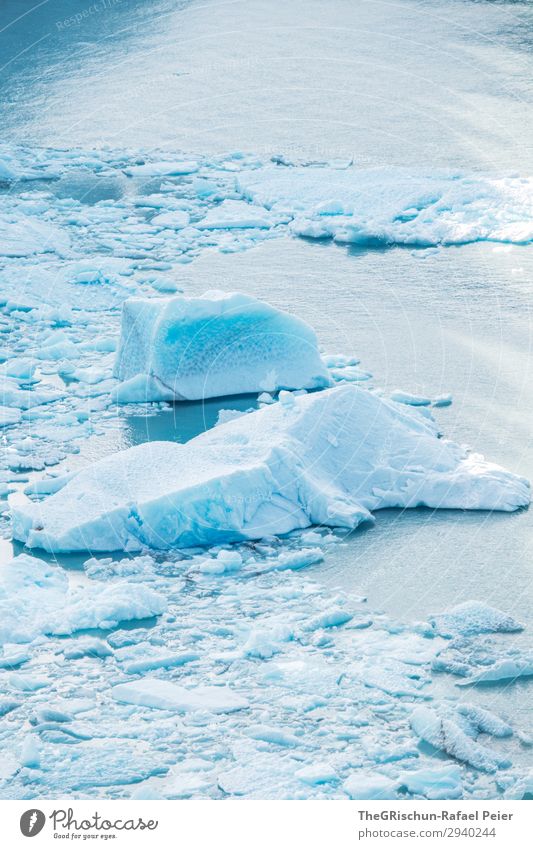Eisscholle Natur blau türkis weiß Gletscher Perito Moreno Gletscher Im Wasser treiben Argentinien schmelzen Schnee Eisberg kalt Farbfoto Außenaufnahme