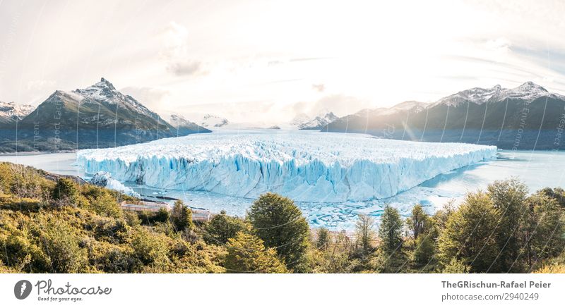 Perito Moreno Gletscher in Patagonien (Argentinien) - Sunset Natur blau türkis weiß Schnee Eis Baum Gegenlicht Berge u. Gebirge Wasser See schmelzen