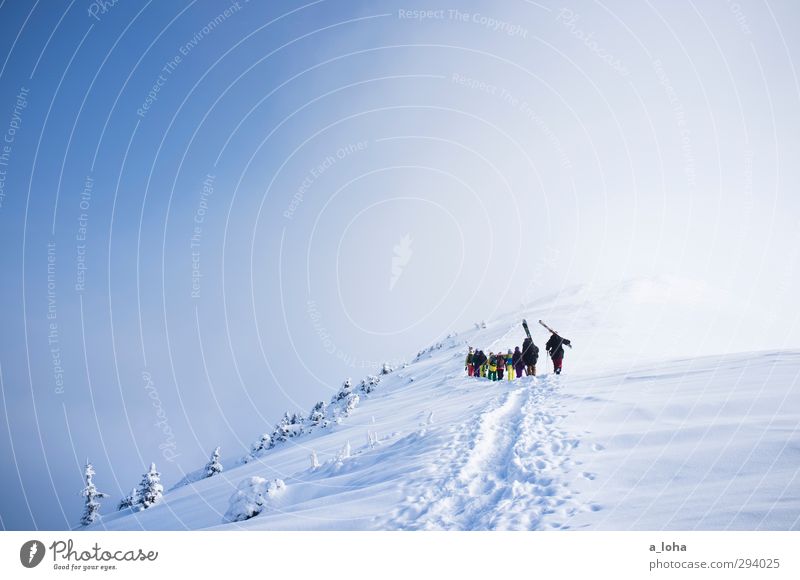 walk away Lifestyle Sport Wintersport Sportler Skier Mensch Menschengruppe Umwelt Natur Landschaft Urelemente Himmel Wolken Schönes Wetter Nebel Eis Frost