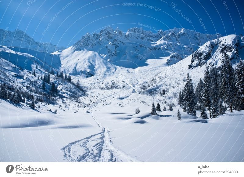 best of you Umwelt Natur Landschaft Urelemente Himmel Wolkenloser Himmel Sonne Winter Schönes Wetter Eis Frost Schnee Baum Felsen Alpen Berge u. Gebirge