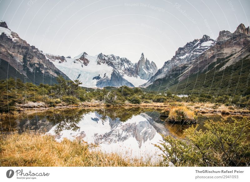 Cerro Torre Natur Landschaft gelb grau grün weiß Berge u. Gebirge Wasser See Reflexion & Spiegelung wandern Bergkette Aussicht Patagonien Gletscher el chalten