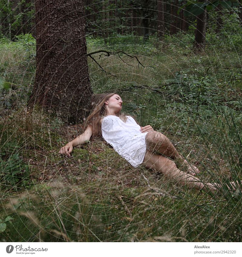 Portrait einer jungen Frau die in weißem Sommerkleid unter einem Baum im Wald liegt Freude schön Erholung ruhig Junge Frau Jugendliche 18-30 Jahre Erwachsene