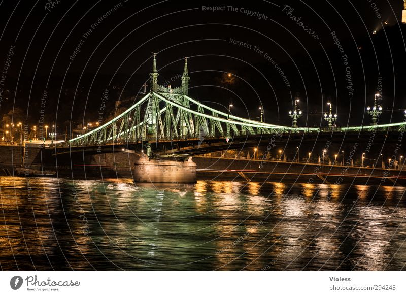 Szabadság híd Hauptstadt Brücke Sehenswürdigkeit Wahrzeichen historisch Freiheitsbrücke Budapest Donau Farbfoto Nacht Langzeitbelichtung