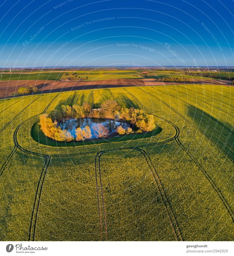 Frühluft II Wellness Ferien & Urlaub & Reisen Tourismus Ausflug Landwirtschaft Forstwirtschaft Umwelt Natur Landschaft Pflanze Erde Himmel Blühend blau gelb