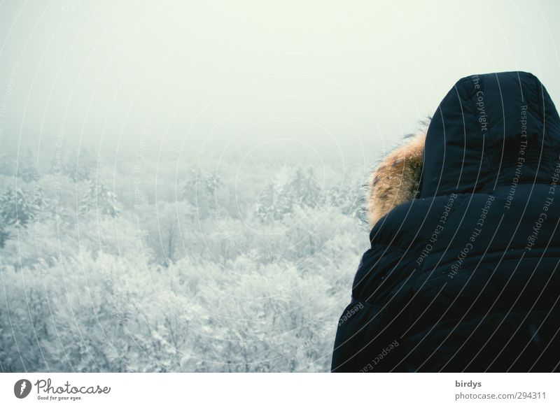 Rückblick Winterurlaub 1 Mensch Natur Landschaft Nebel Eis Frost Schnee Baumkrone Wald Mantel Kapuze beobachten Blick kalt oben ruhig erleben Idylle Ferne