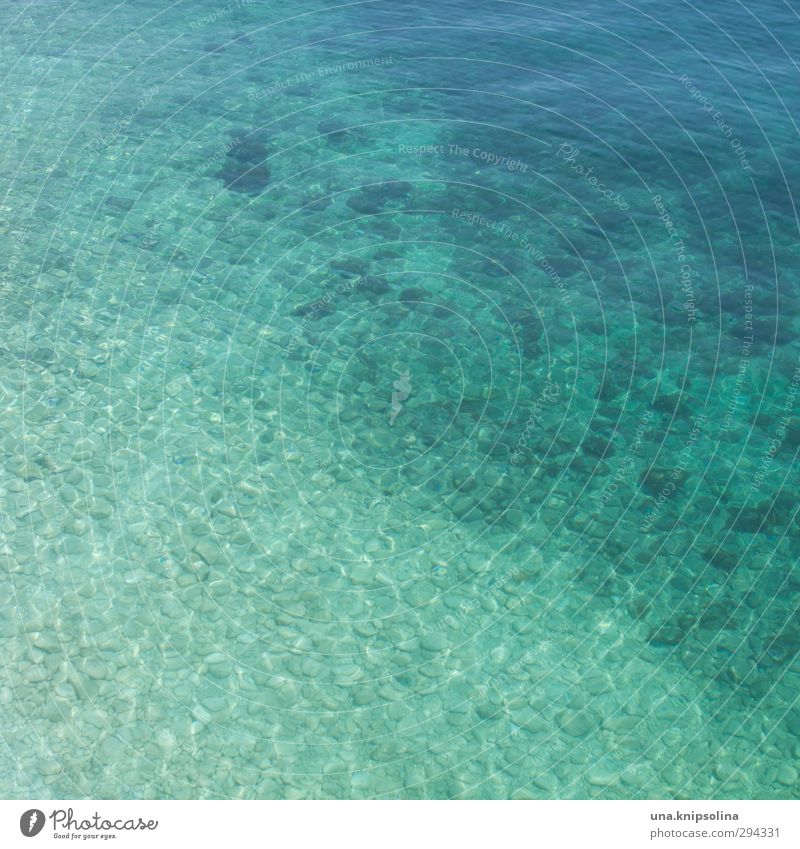 mehr meer Sommer Sommerurlaub Strand Landschaft Wellen Meer Wasser Flüssigkeit frisch nass natürlich Wärme blau türkis Farbfoto Außenaufnahme Detailaufnahme