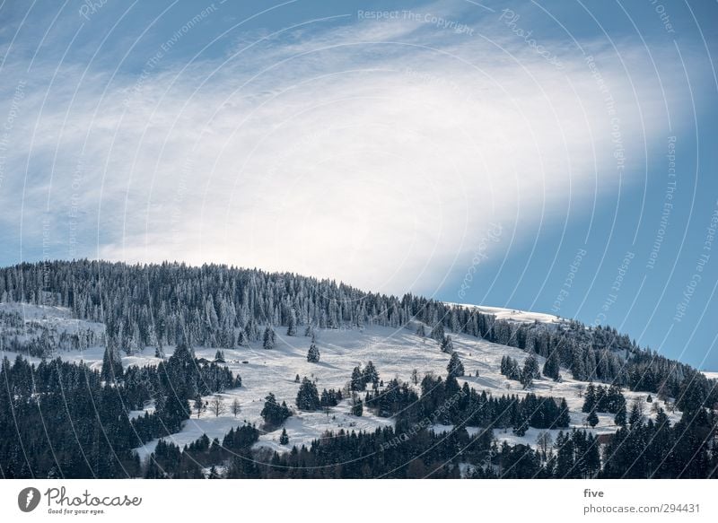 skitag Skier Skipiste Natur Landschaft Himmel Wolken Winter Schönes Wetter Pflanze Baum Hügel Felsen Alpen Berge u. Gebirge kalt Skigebiet Farbfoto