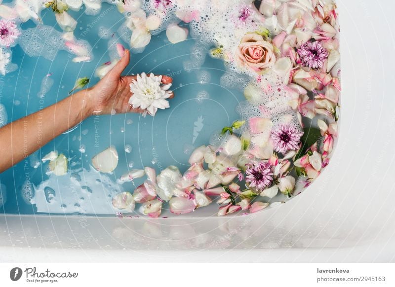Bad mit blauem Wasser und Blütenblättern mit Frauenhand, die die Blume hält. aromatisch Kunst Schwimmen & Baden Badewanne Beautyfotografie Bombe Blumenstrauß
