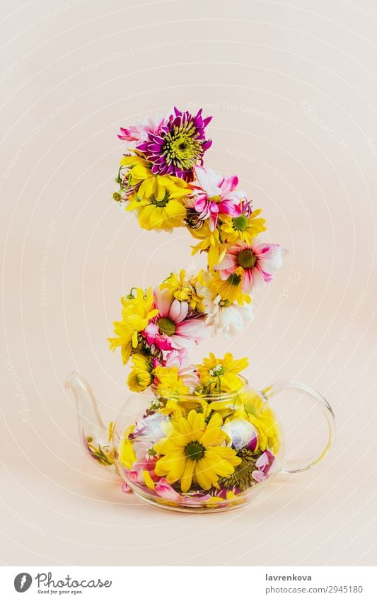 Teekanne aus Glas mit aufsteigenden Blumen Pastellton selektiv Glaskessel Entwurf Jahreszeiten Pflanze Farbe Blütenblatt Dekoration & Verzierung Sommer gelb