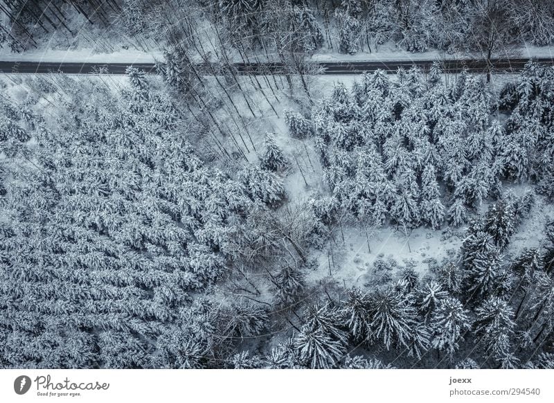 Nach nirgendwo Natur Landschaft Winter Schnee Wald Verkehrswege Straße fahren kalt blau schwarz weiß Klima Umwelt Nadelwald Winterwald Farbfoto Gedeckte Farben