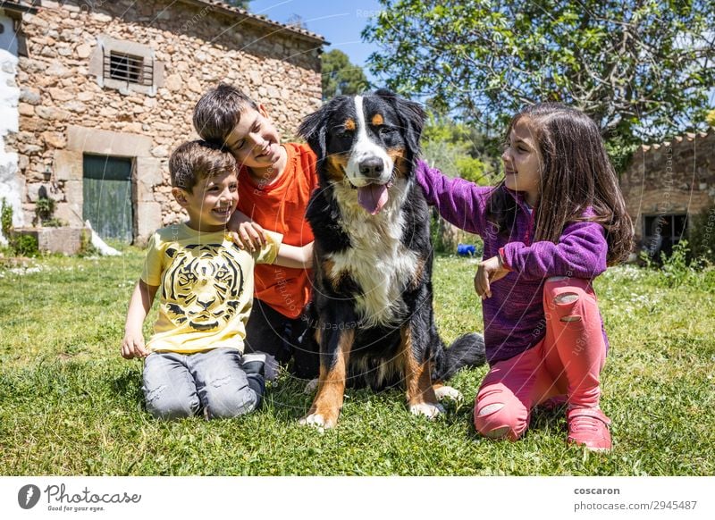 Drei kleine Kinder mit einem Berner Hund Lifestyle Freude Glück schön Leben Spielen Sommer Sommerurlaub Garten Mensch maskulin feminin Kleinkind Mädchen Junge
