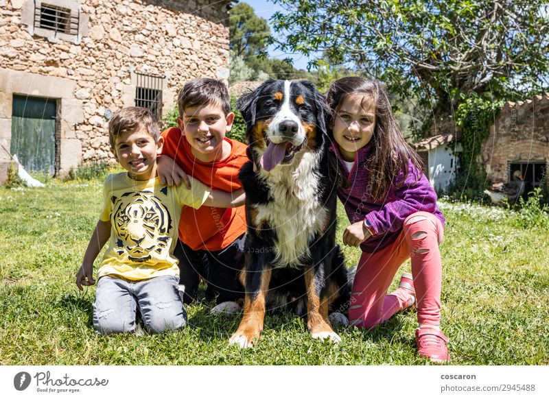 Drei kleine Kinder mit einem Berner Hund Lifestyle Freude Glück schön Leben Spielen Ferien & Urlaub & Reisen Sommer Garten Mensch maskulin feminin Kleinkind