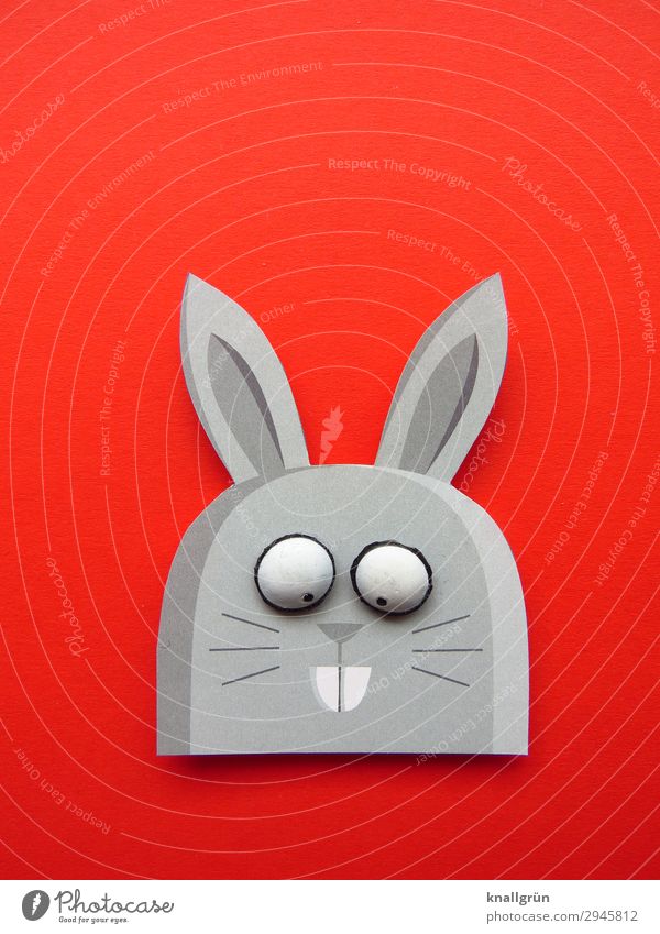 Hasenmädchen Tier Hase & Kaninchen 1 Papier lustig Freude Kreativität Hasenohren Hasenzahn Farbfoto Studioaufnahme Menschenleer Textfreiraum links