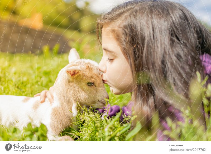 Kleines Mädchen küsst eine Ziege. Nahaufnahme Lifestyle Glück schön Erholung Windstille Freizeit & Hobby Spielen Ferien & Urlaub & Reisen Sommer Sommerurlaub