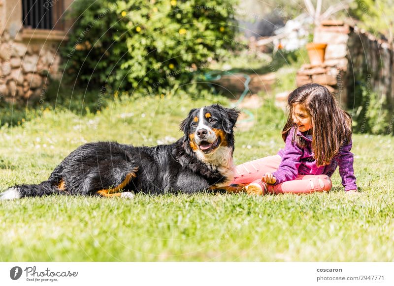 Kleines Mädchen mit einem Berner Sennenhund Lifestyle Freude Glück Freizeit & Hobby Spielen Sommer Berge u. Gebirge Garten Kind Mensch feminin Kleinkind Junge