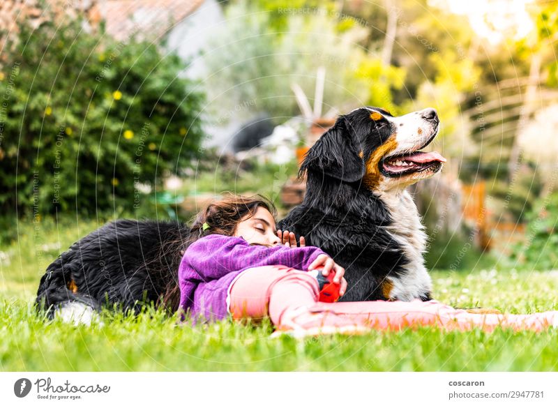 Kleines Mädchen schläft auf einem Berner Sennenhund. Lifestyle Freude Glück schön Leben Ferien & Urlaub & Reisen Sommer Sonne Garten Kind Mensch feminin