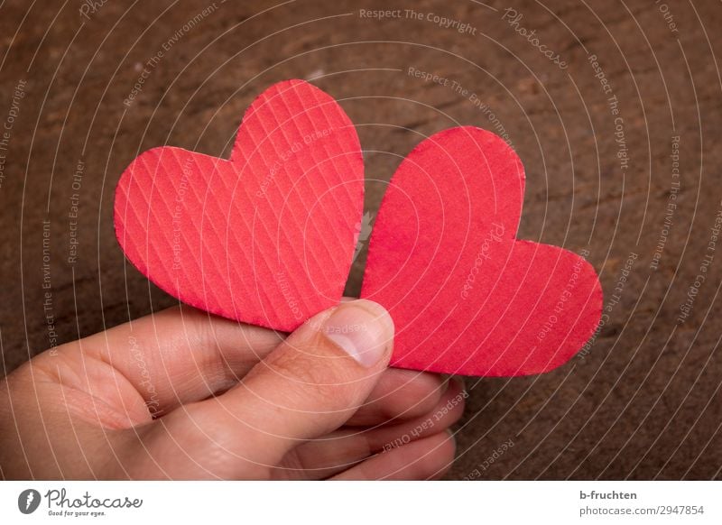 Verliebt sein harmonisch Zufriedenheit Hochzeit Team Finger Zeichen Herz wählen festhalten Liebe Glück rot Zusammensein Verliebtheit Treue Romantik