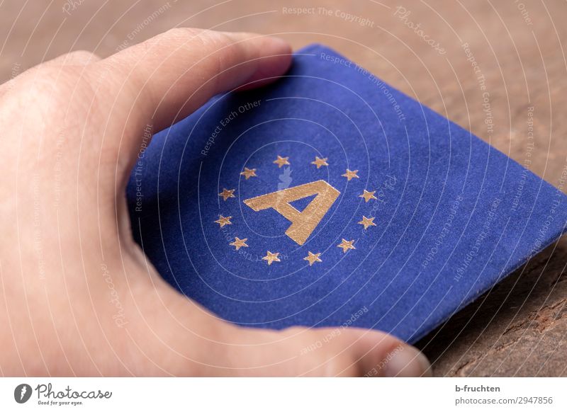 Europäisch Wirtschaft Business Hand Finger Zeichen gebrauchen festhalten blau Österreich Stern (Symbol) Europafahne Hülle Grenze Unendlichkeit Führerschein