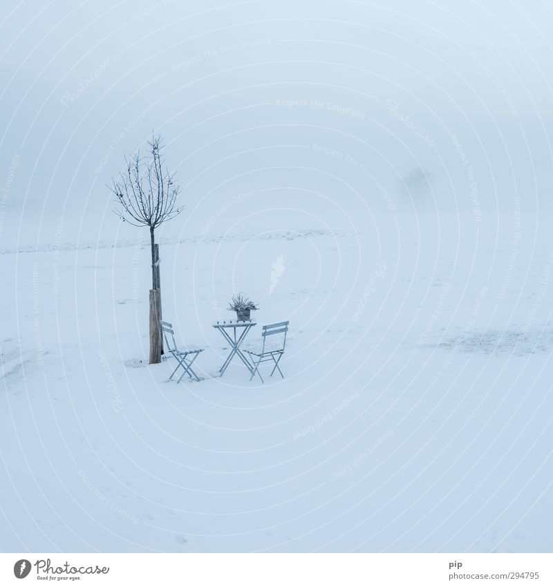 frühlingsanfang ohne anfang Umwelt Natur Landschaft Horizont Frühling Winter Klimawandel schlechtes Wetter Eis Frost Schnee Baum Wiese kalt Stuhl Tisch