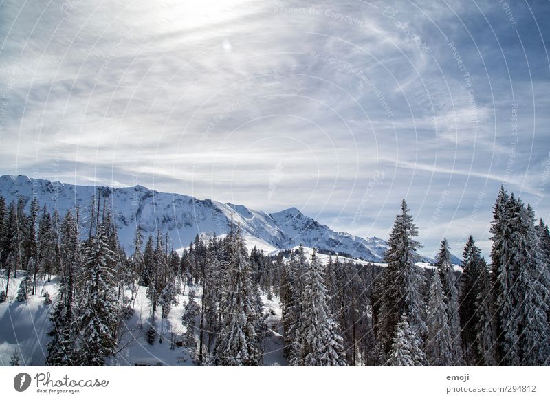 Winterlandschaft Umwelt Natur Landschaft Schönes Wetter Schnee Wald Alpen Berge u. Gebirge kalt natürlich blau weiß Farbfoto Außenaufnahme Menschenleer Tag