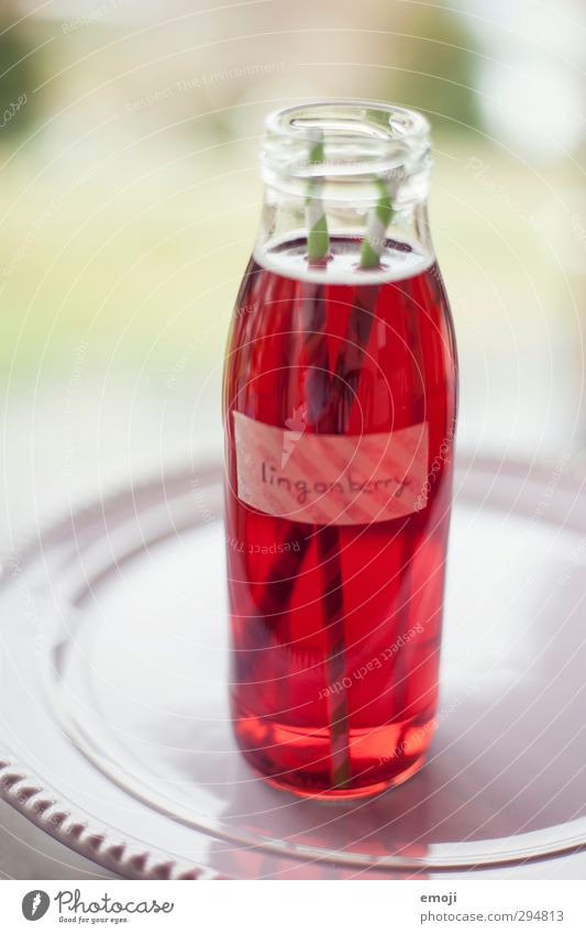 lingonberry juice Ernährung Picknick Getränk Erfrischungsgetränk Limonade Saft lecker rot Flasche Glasflasche Farbfoto Nahaufnahme Menschenleer