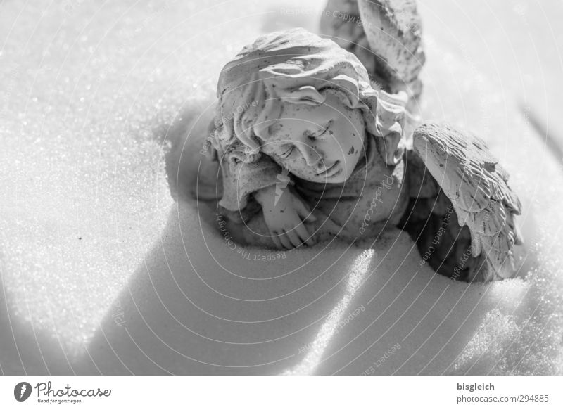 Schnee-Engel Skulptur Winter Stein schlafen träumen Traurigkeit grau weiß Mitgefühl trösten ruhig Hoffnung Glaube Trauer Tod Friedhof Flügel Gesicht