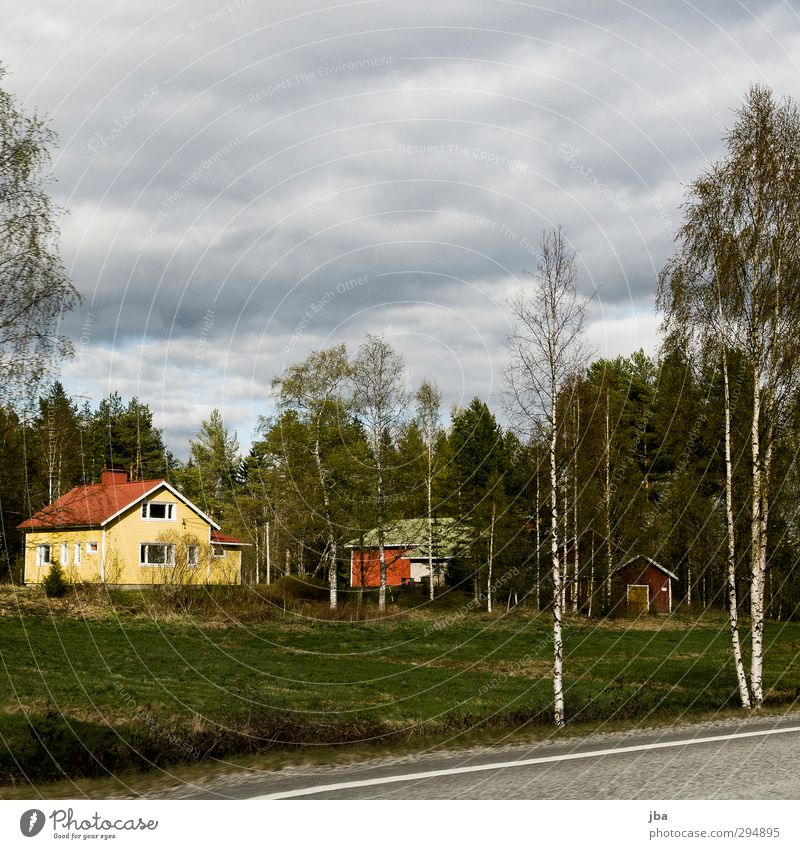 Finnland Wohnung Haus Natur Pflanze Wolken Frühling schlechtes Wetter Baum Gras Birke Wald Einfamilienhaus Fassade Dach Straße Straßenrand sportlich gelb grün